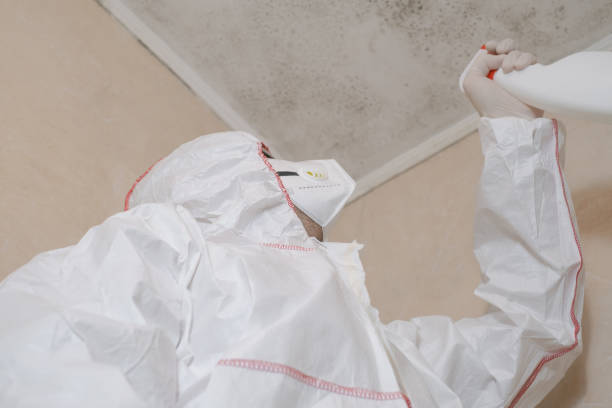 Best DIY Mold Remediation Support Services in Goshen, AR